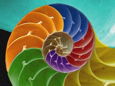 Майдан: интегральный взгляд