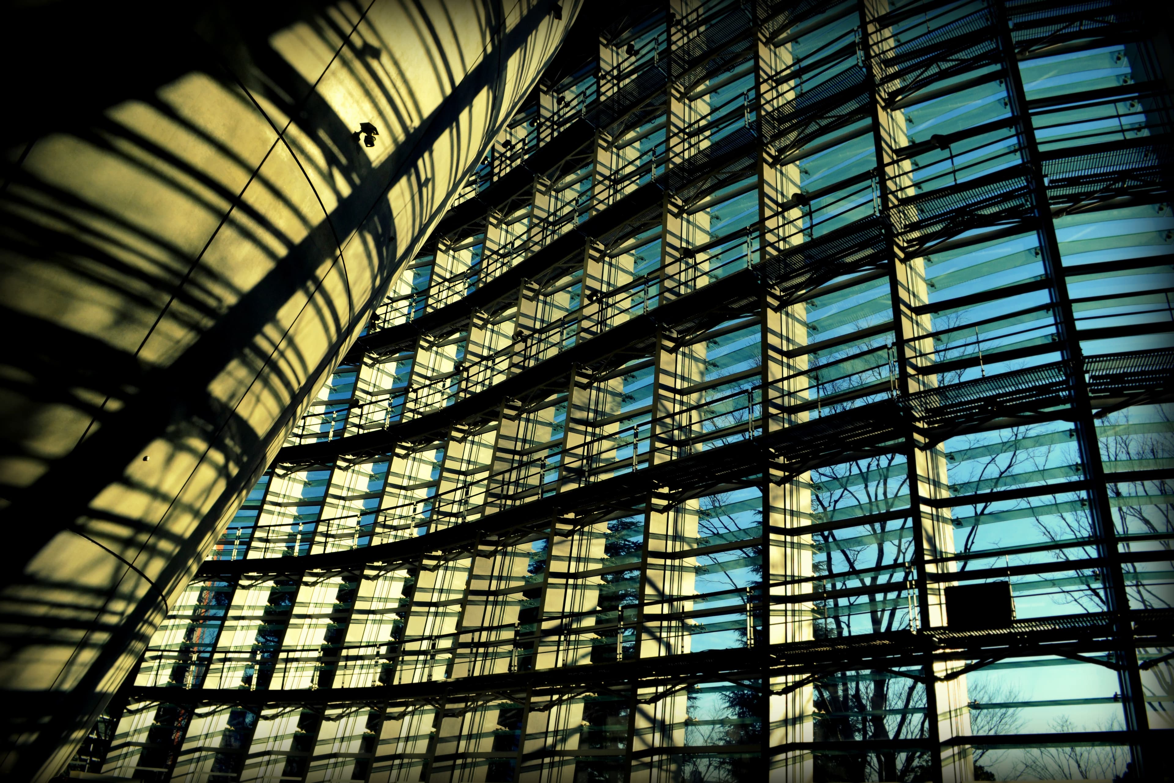 Превосходя модернизм. Часть 2: Впуская «шум» в наш образ жизни