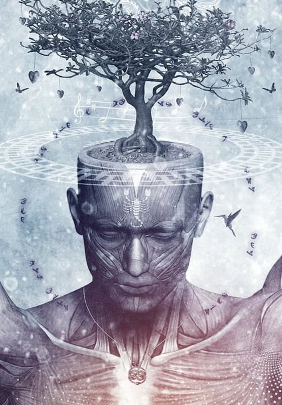 Медитация и физическая трансформация мозга. Часть 2: Левая префронтальная зона и теменная доля