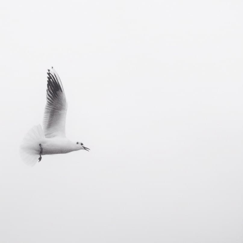 О первичной травме сознания