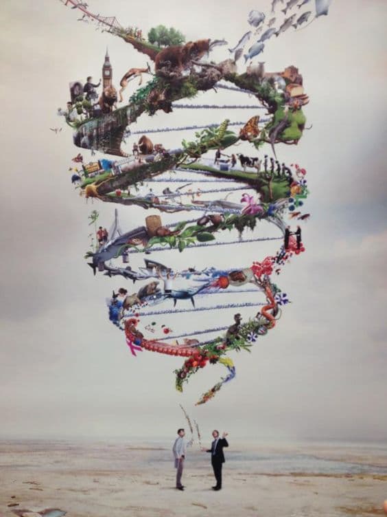 Спиральная динамика в квадрантах Уилбера