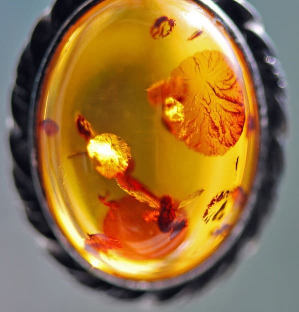 Элементы настоящего в человеке: природа Ценности