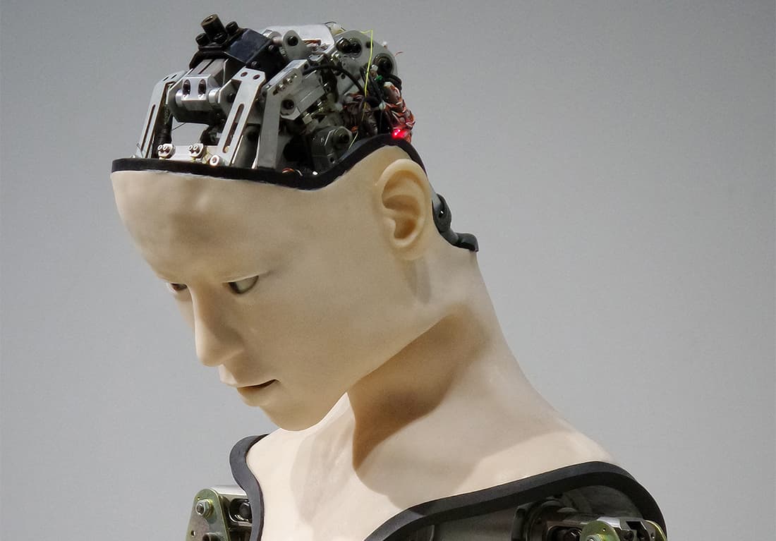 Освобождая науку от материализма