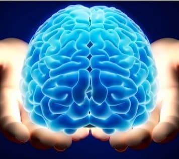 Illuminated brain resized