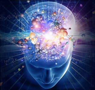 neuroplasticity