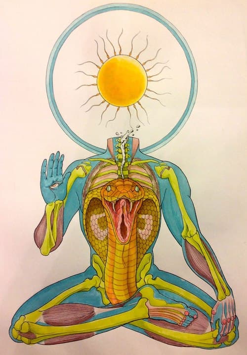 Snake Meditation