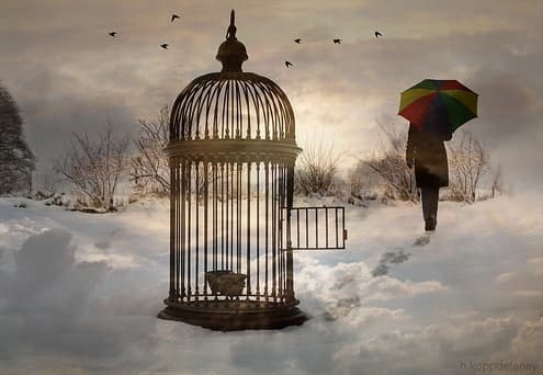 liberation