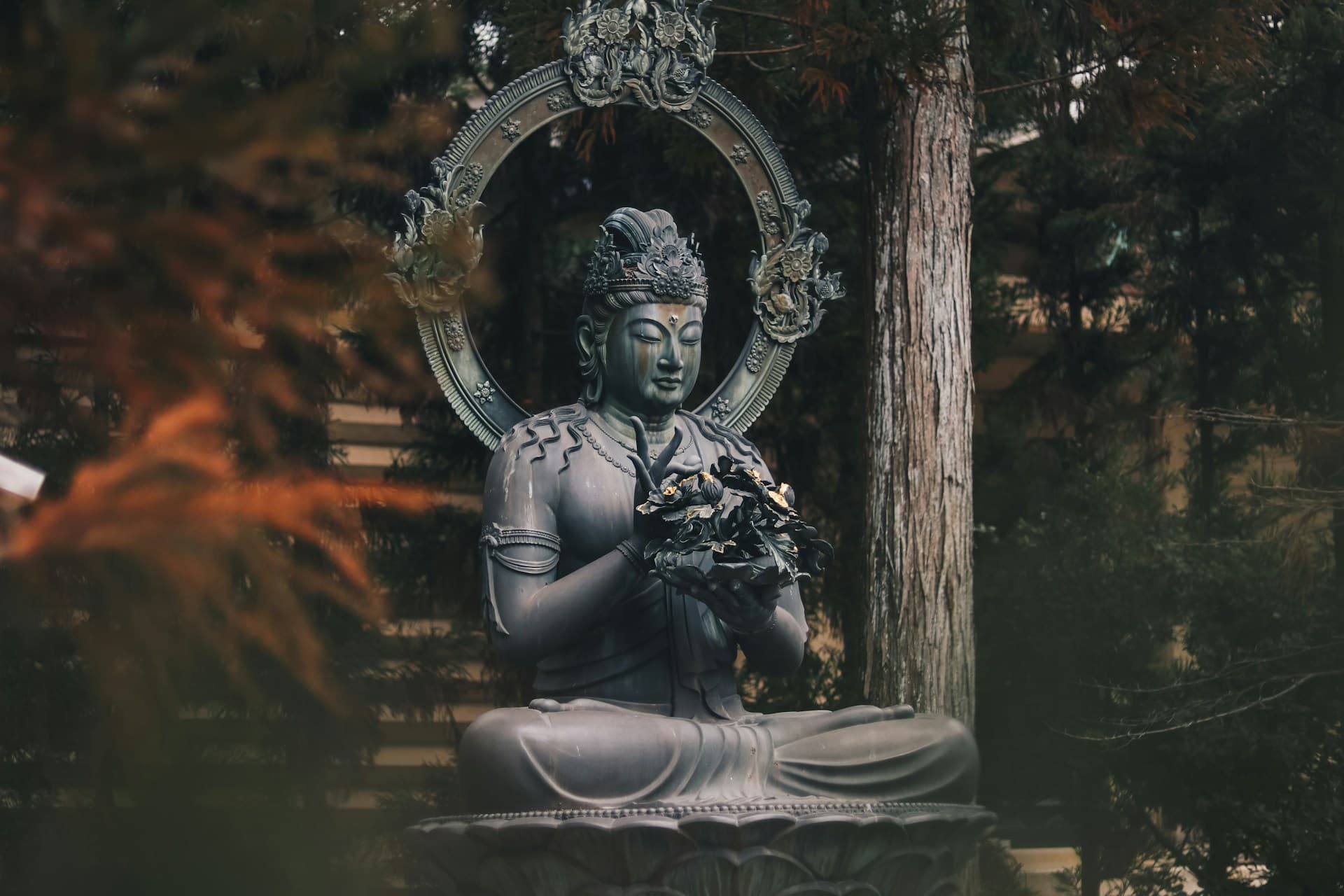 manuel-cosentino-hMc2OBV0dhg-unsplash
