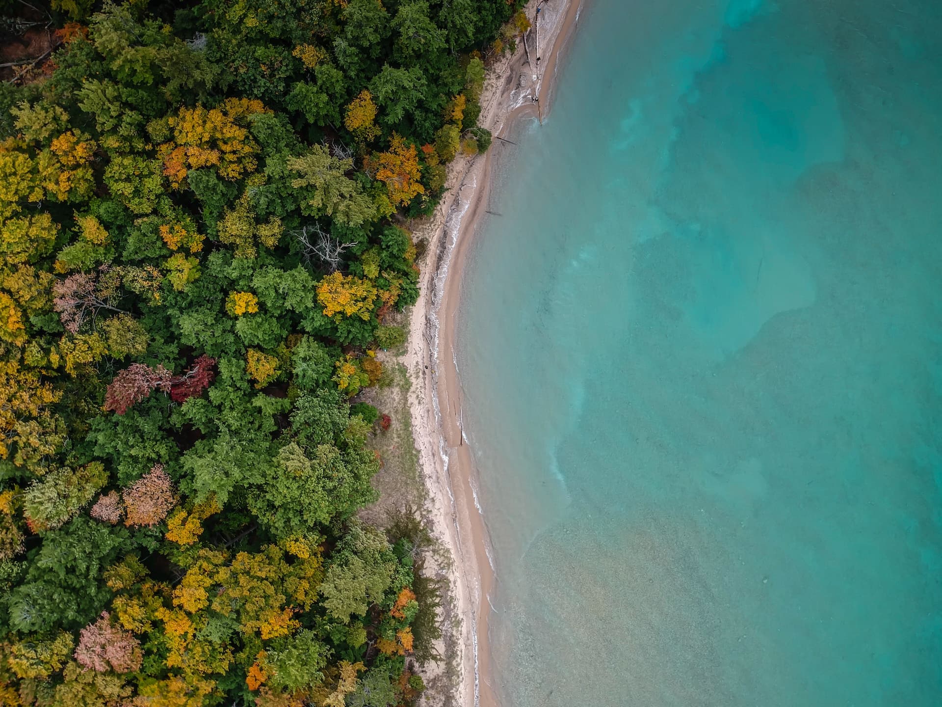 nick-perez-duvq92-VCZ4-unsplash