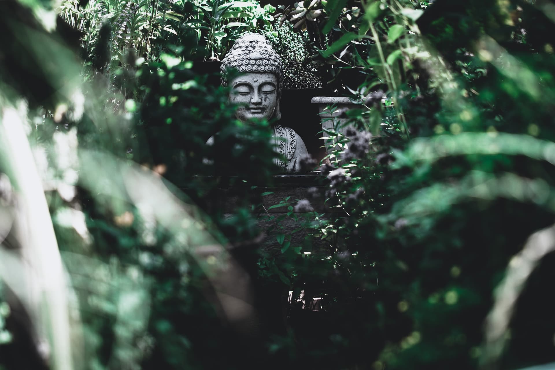 patrick-connor-klopf-ZNMcI9DtSWQ-unsplash