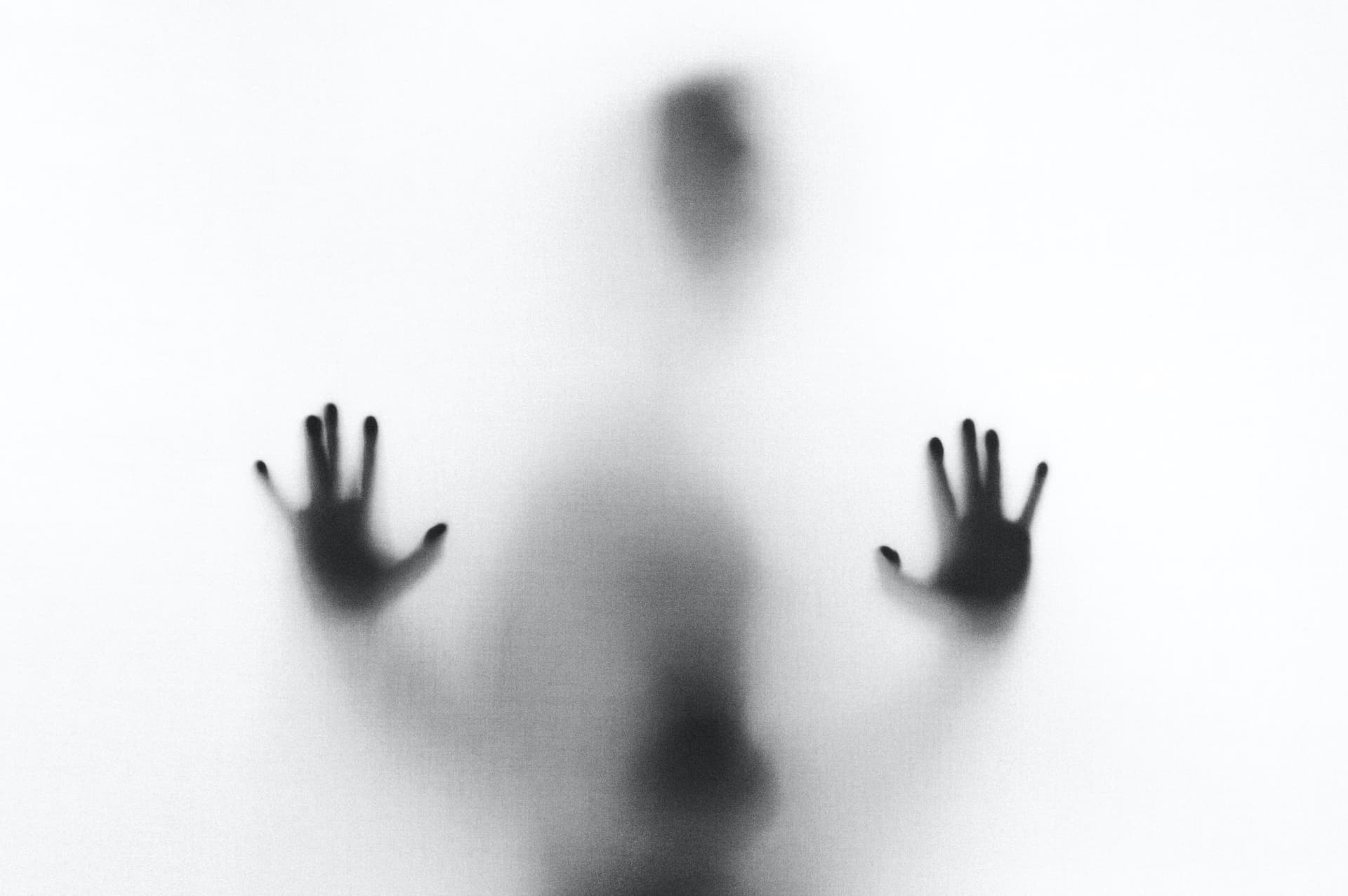 stefano-pollio-ZC0EbdLC8G0-unsplash