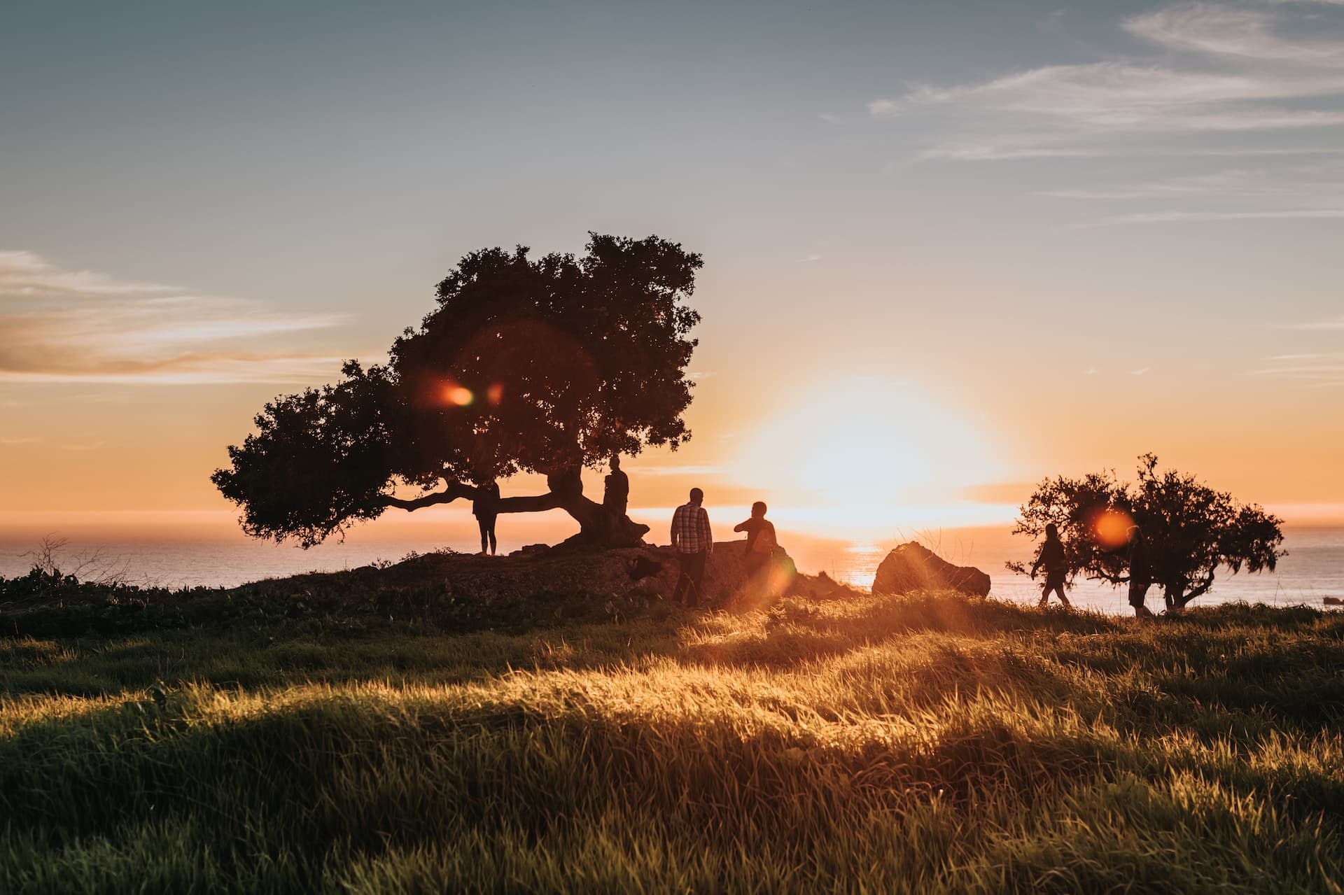 tim-mossholder-DnRG-ekYYGs-unsplash