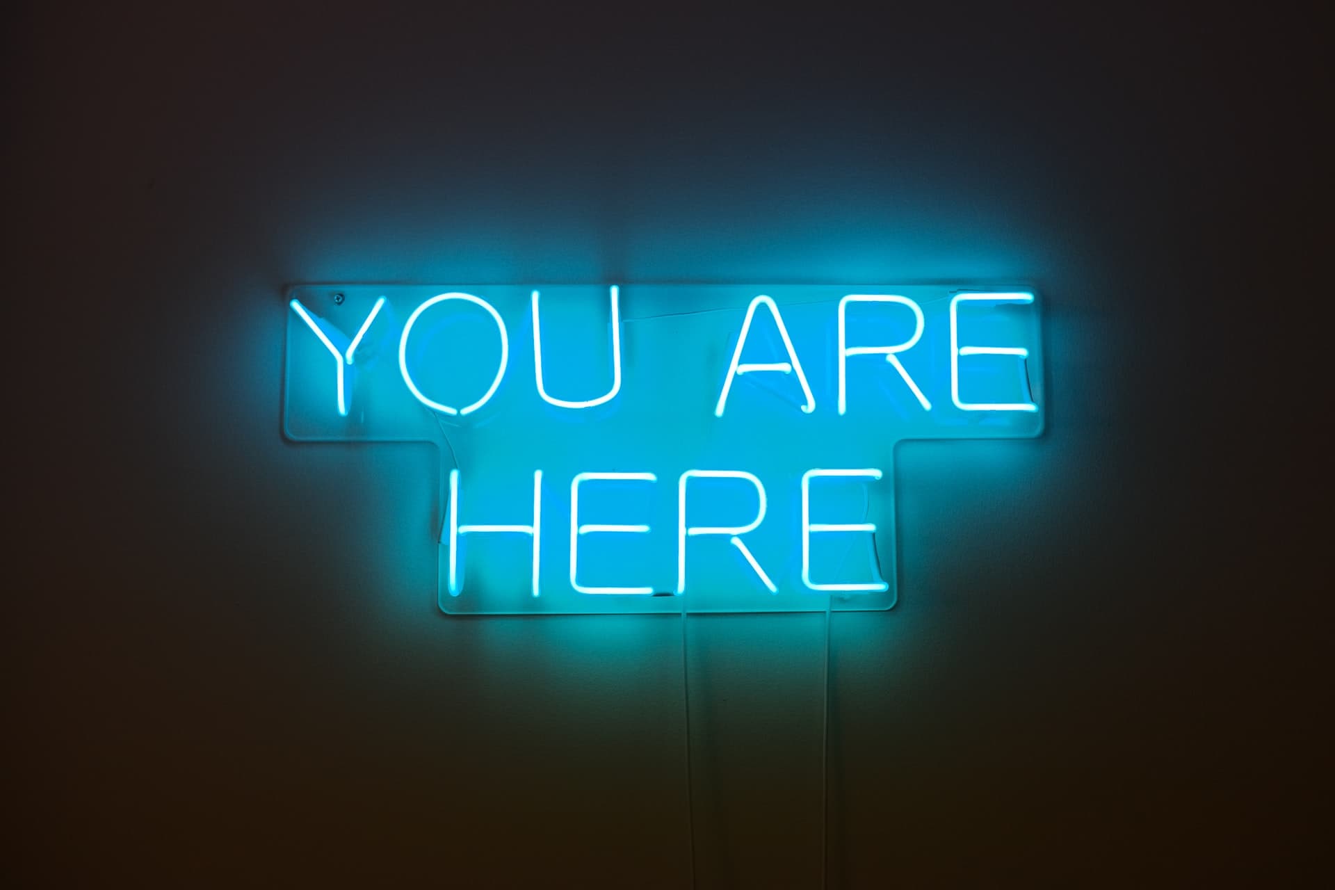 you are here