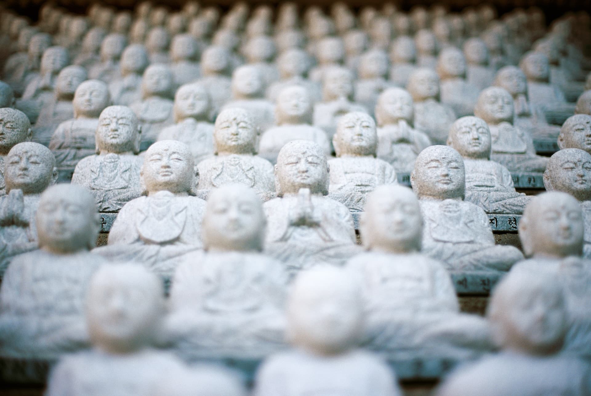 jed-adan-ZpeCkOiiQUo-unsplash