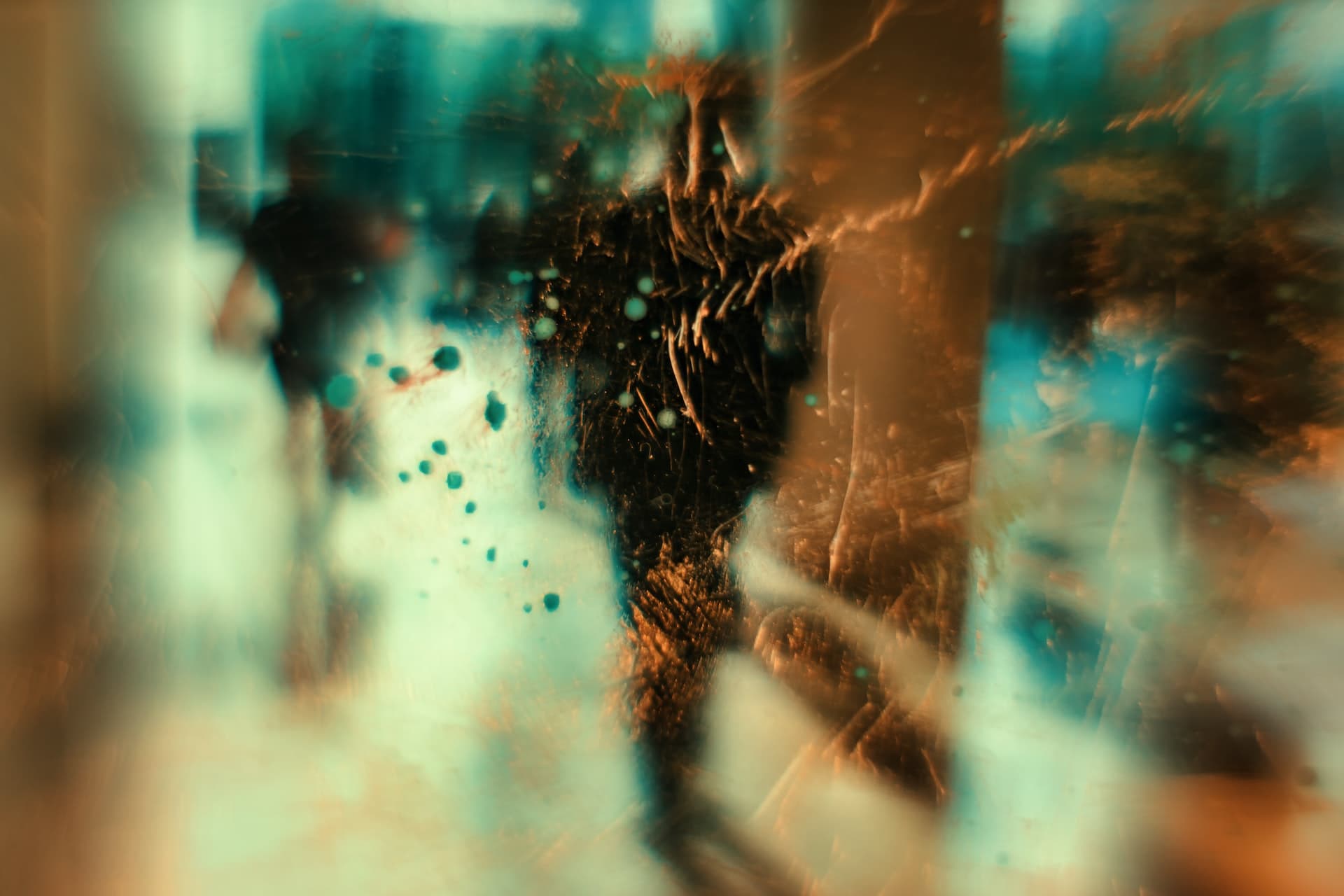 jr-korpa-D2b2Ah3OmZw-unsplash