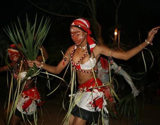 Ибога: встреча с Божественным