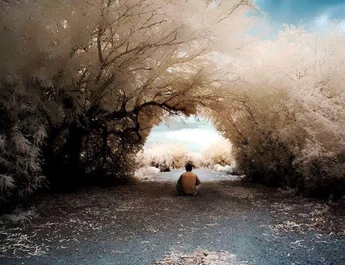 Практика внимательности в интегральном развитии