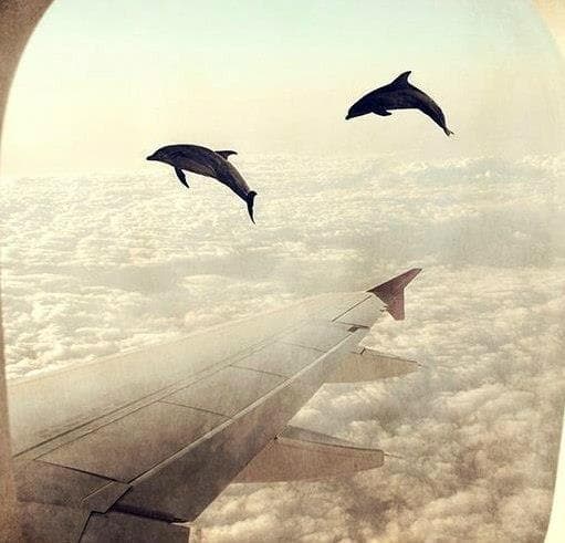 Свободный дух глобального человечества: о трансформации личности и растворении страха в любящем сознавании