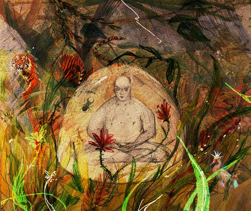 Природа человека, природа будды: интервью с Джоном Уэлвудом