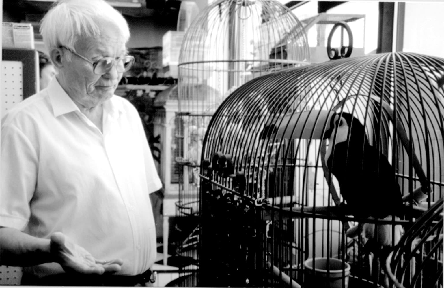 «Канатоходец» В. В. Налимова: новое издание