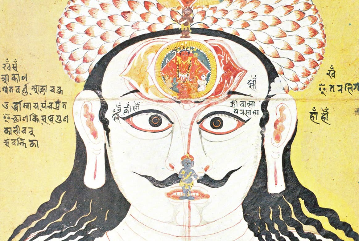 Существуют ли чакры? Интервью с Реджинальдом Рэем