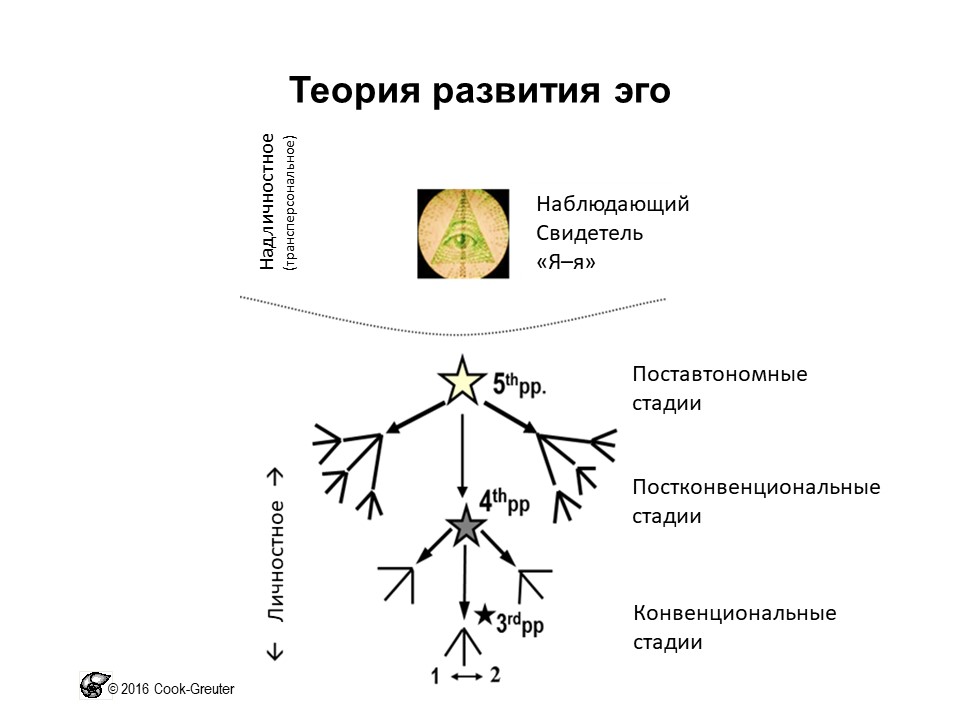 Сюзанна Кук-Гройтер. Теория развития эго — расширение способности к принятию перспектив