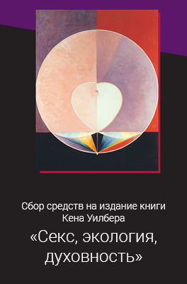 Кен Уилбер, «Секс, экология, духовность» — сбор средств