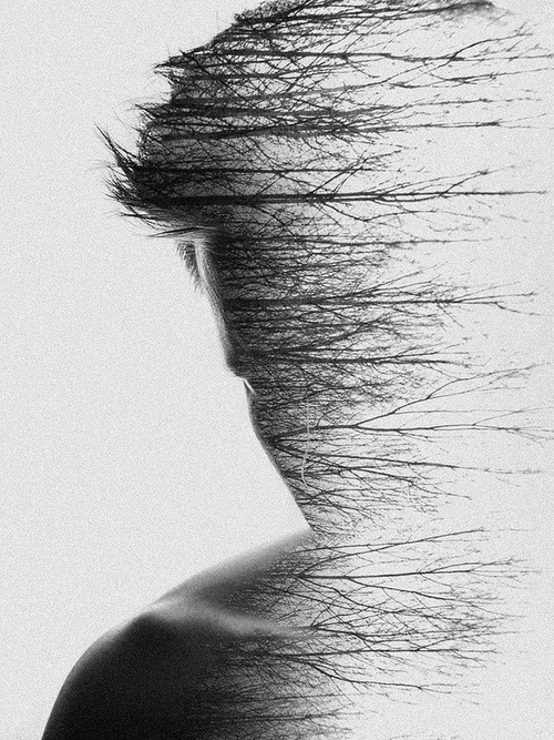 shadow9
