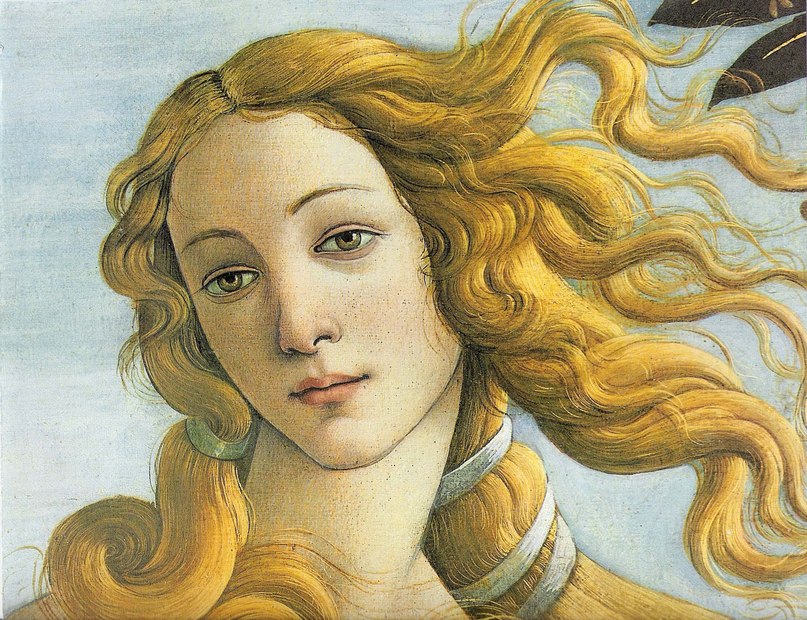 the birth of venus