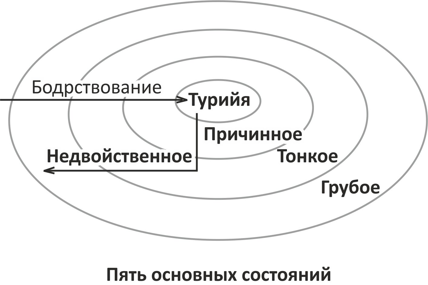 Состояния сознания