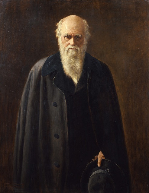 darwin