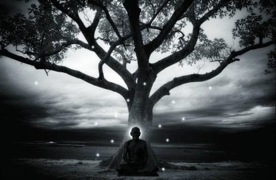 Siddhartha