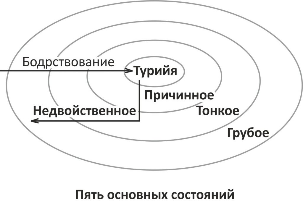 Пять основных состояний. Интегральная психотерапия. Интегральный подход Кена Уилбера