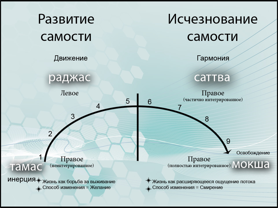 Рис. 4. Гуническое отображение модели развития Сюзанны Кук-Гройтер
