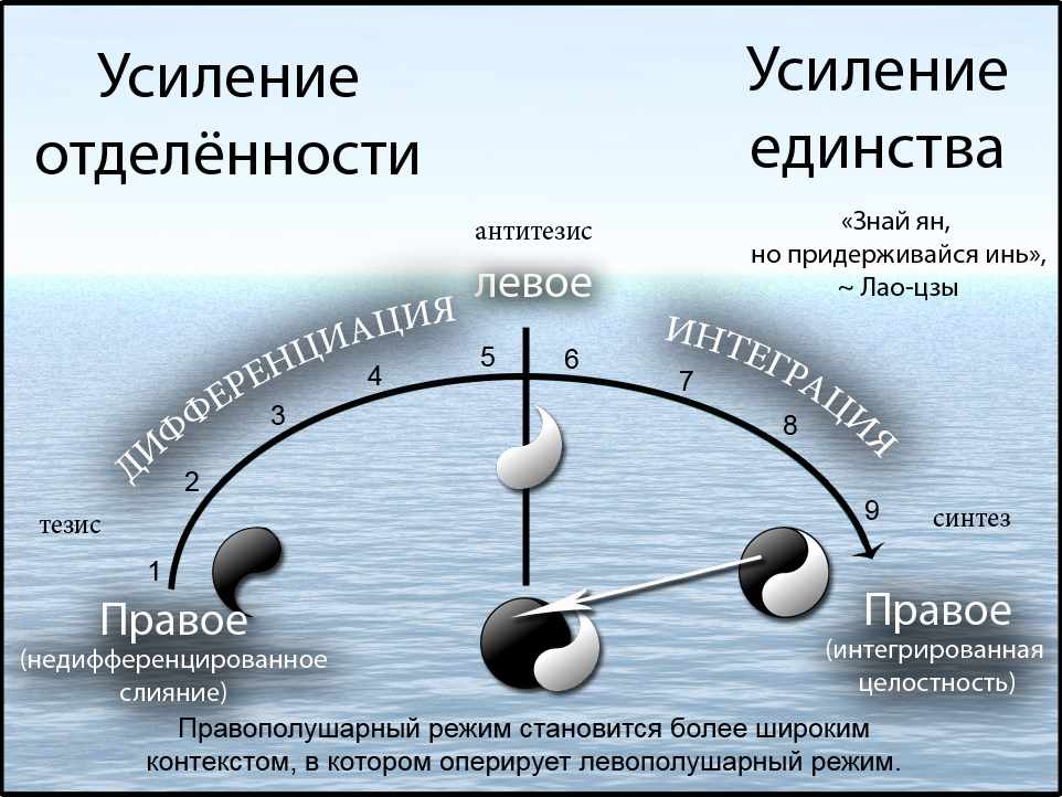 Рис. 3. Диалектическое отображение модели развития Сюзанны Кук-Гройтер