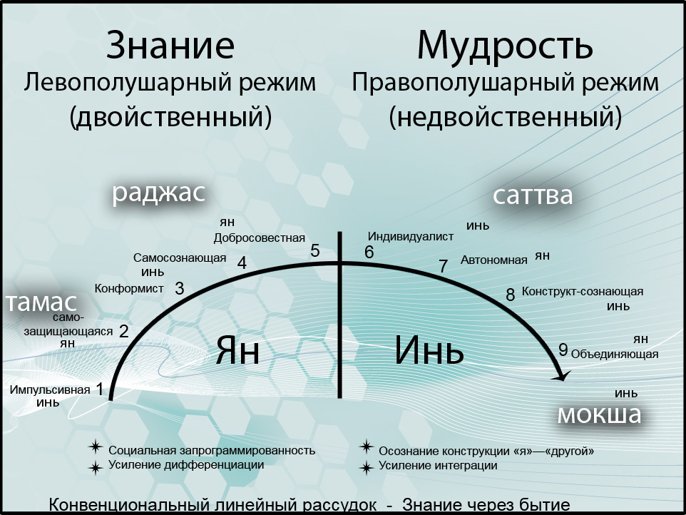 Рис. 2. Диалектическое отражение модели развития Сюзанны Кук-Гройтер