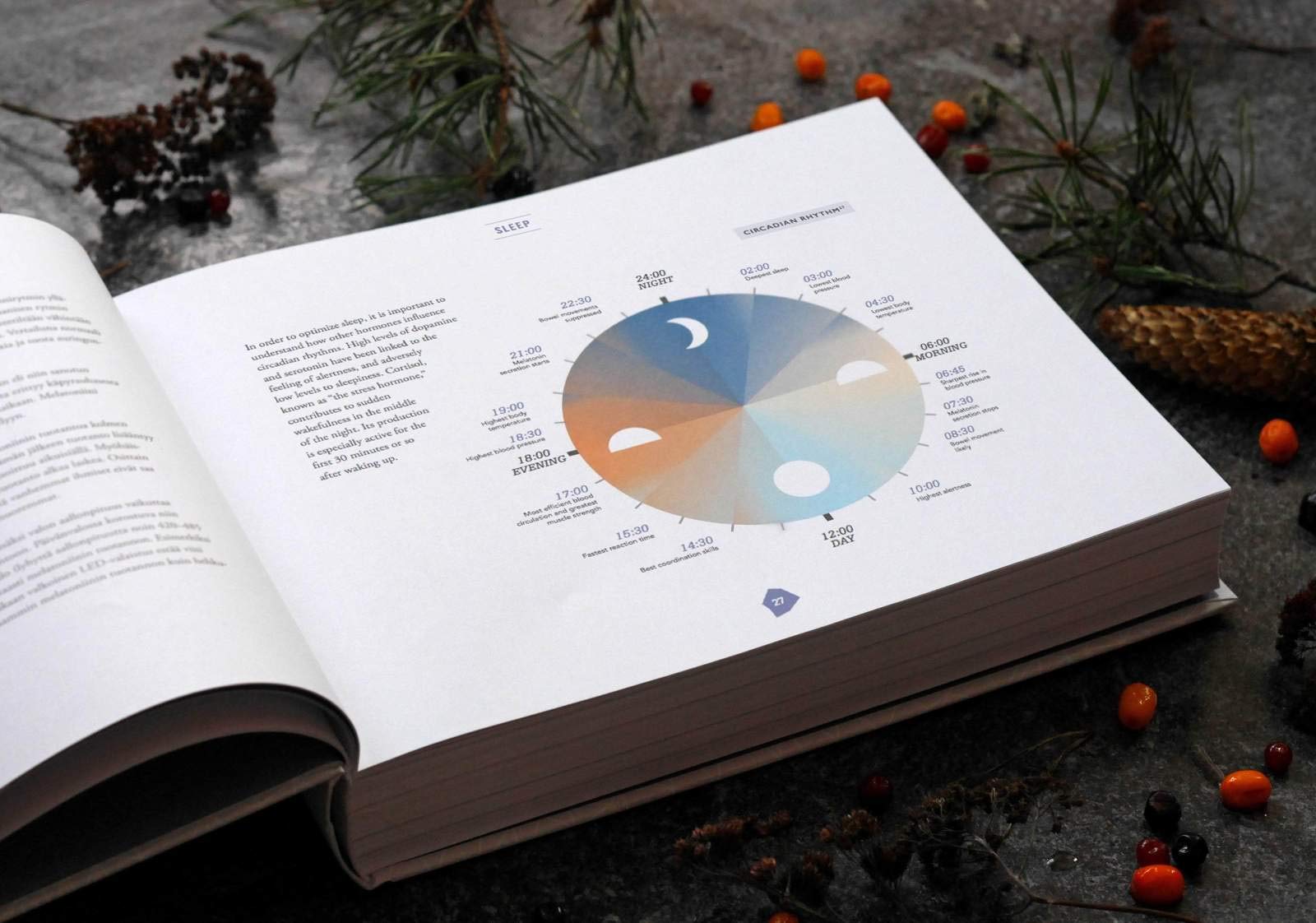 Английское издание книги «Биохакинг»