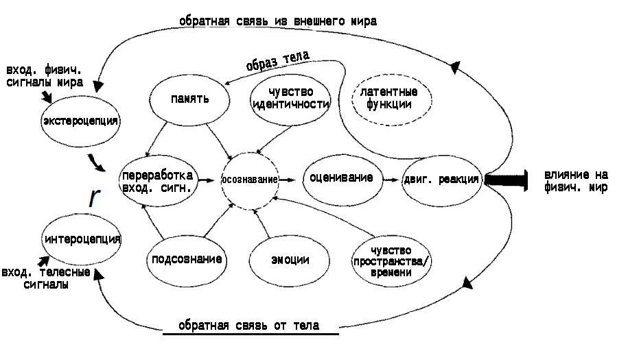 Рис. 1. Системный подход к пониманию состояний сознания