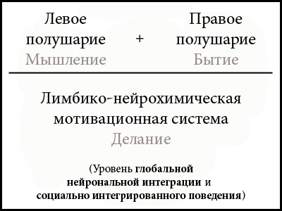 Рис. 1. Трёхчастная нейрональная конфигурация эго