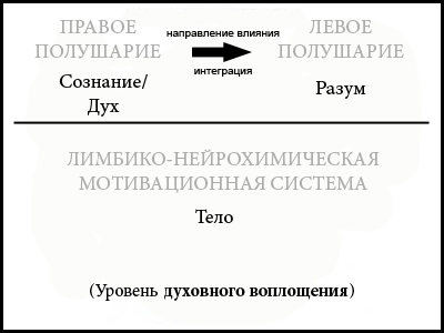 Рис. 5. Направление право-левополушарной интеграции.