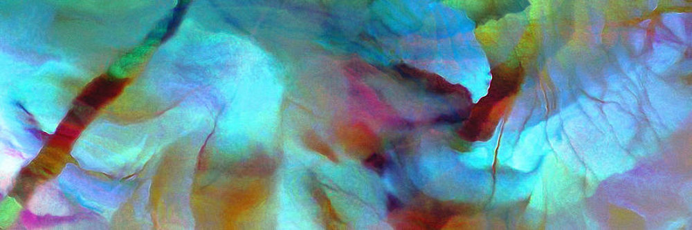 secret-garden-abstract-art-jaison-cianelli